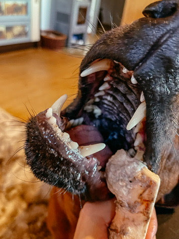 für Zähne und Zahnfleisch
