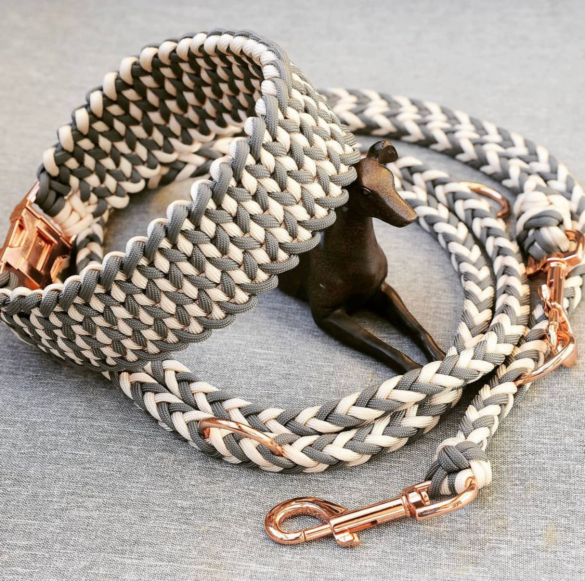 Hundehalsbänder & Leinen
