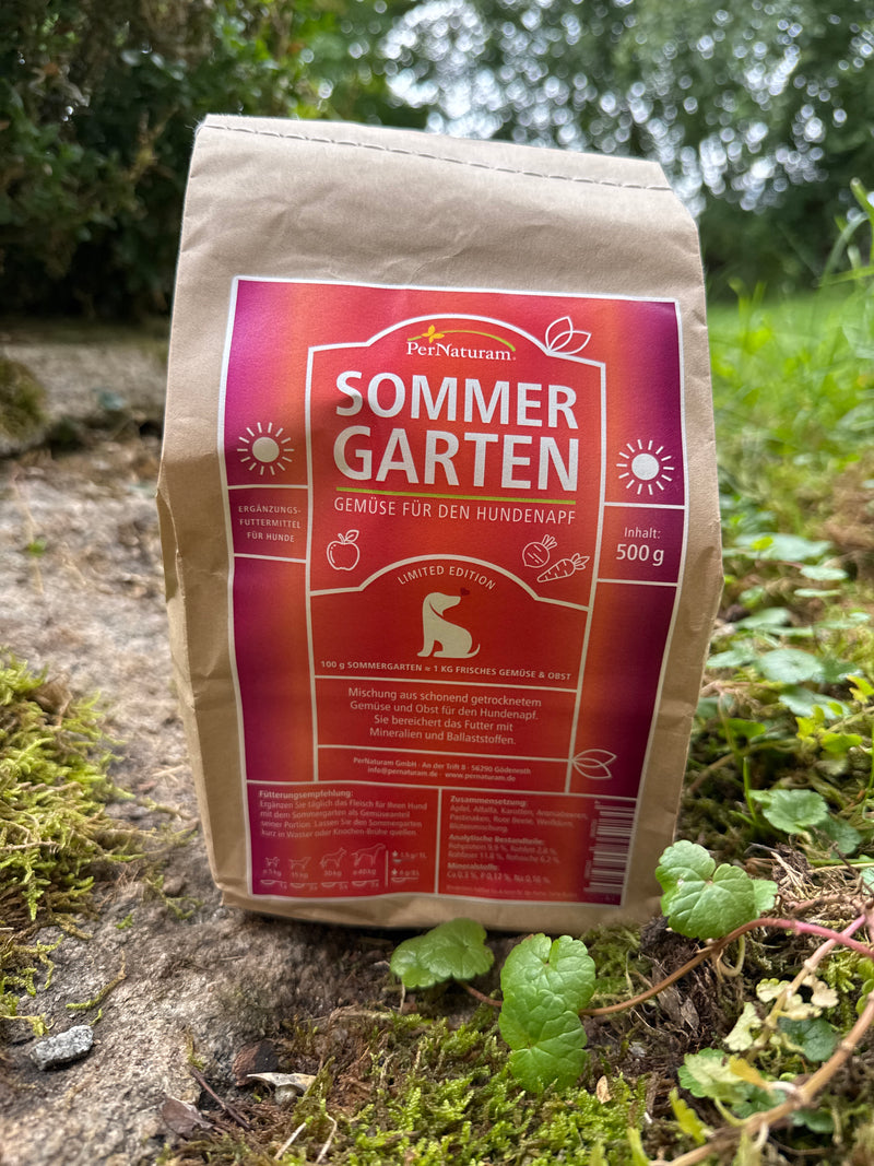 Sommer Garten Gemüsemix
