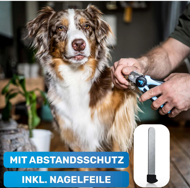 Krallen Schere