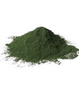 Bio Spirulina