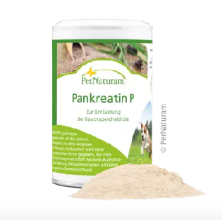Pankreatin P