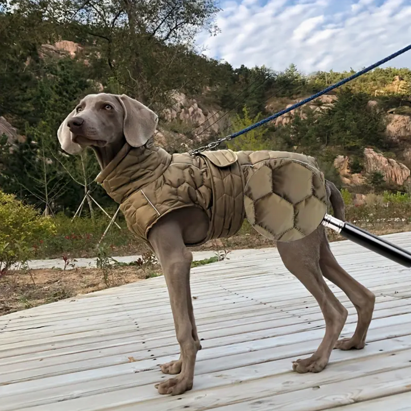 Hundemantel Für Herbst Und Winter Olive XXL