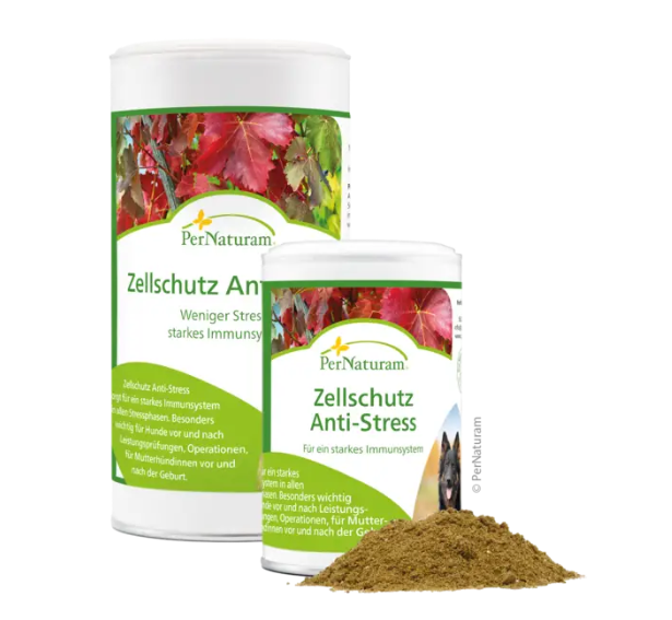 Zellschutz Anti Stress