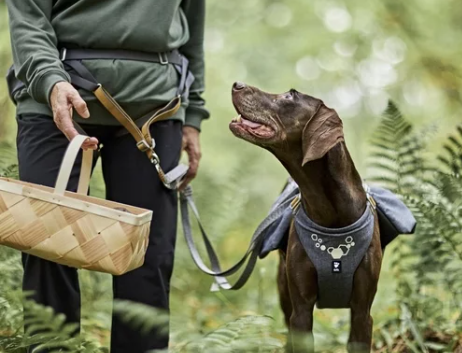 Hurtta Hunderucksack Expedition Pack ECO blackberry