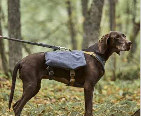 Hurtta Hunderucksack Expedition Pack ECO blackberry