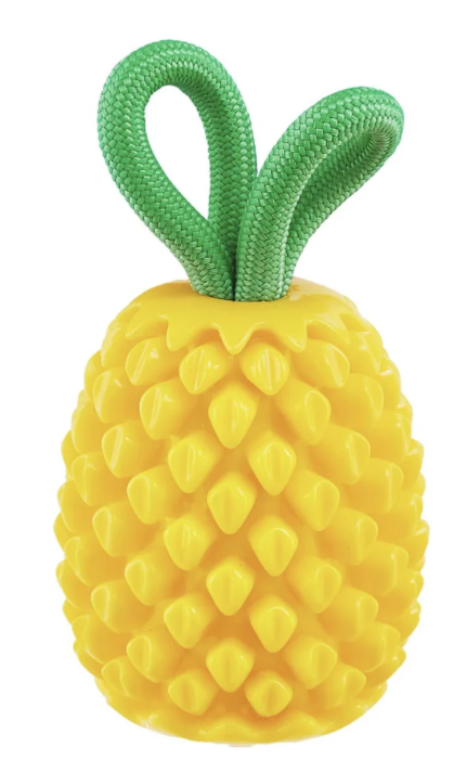 Planet Dogg Dental Pineapple