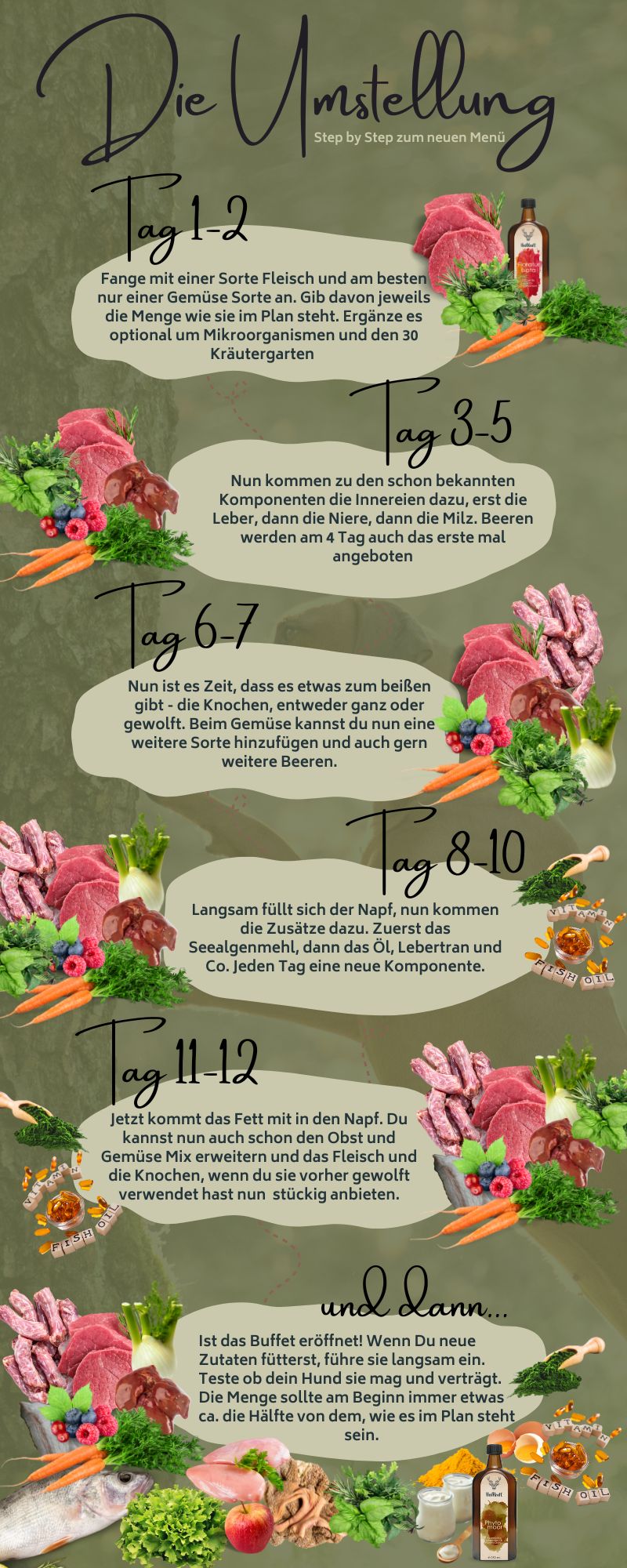 Schnauzen Schlauheit - Die Futterumstellung Step by Step