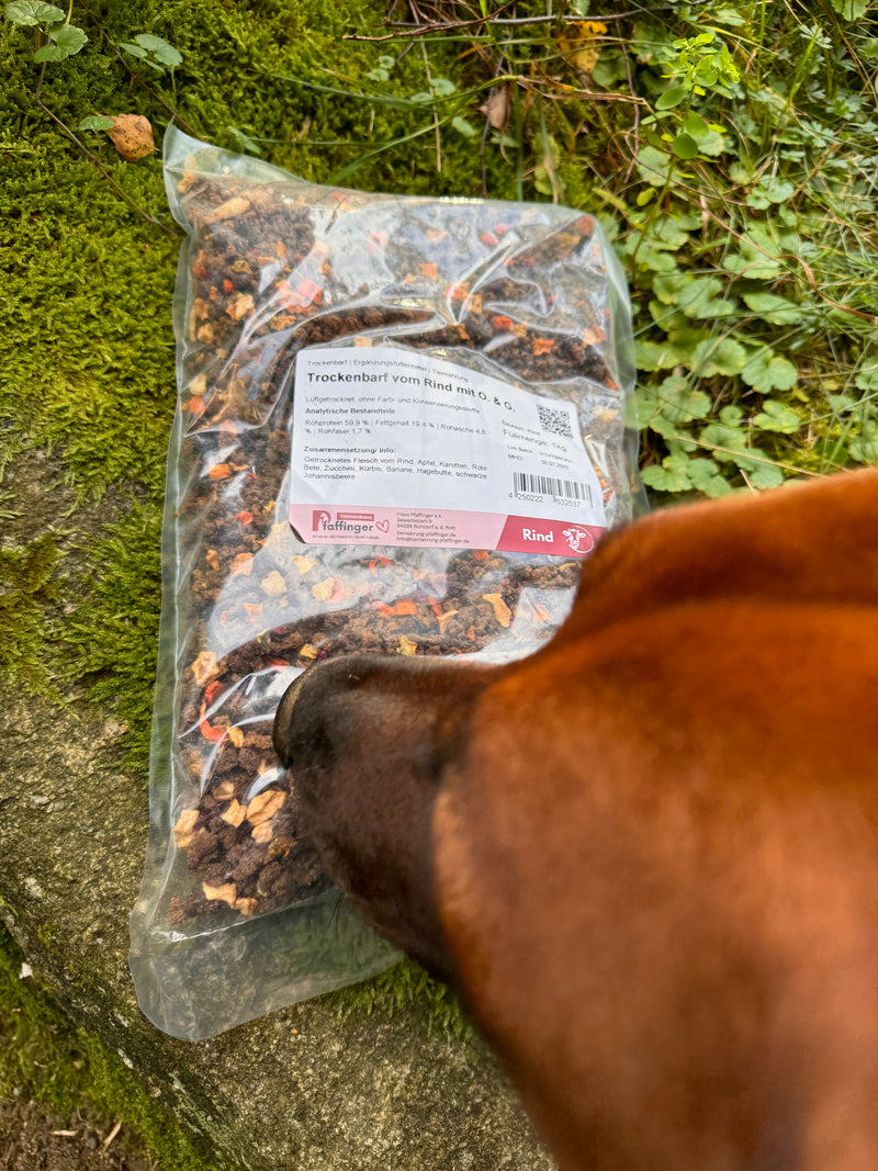 Trockenbarf - Rind mit Obst und Gemüse