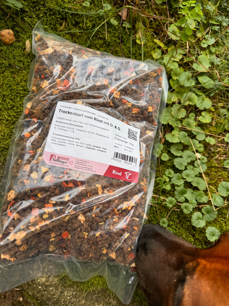 Trockenbarf - Rind mit Obst und Gemüse