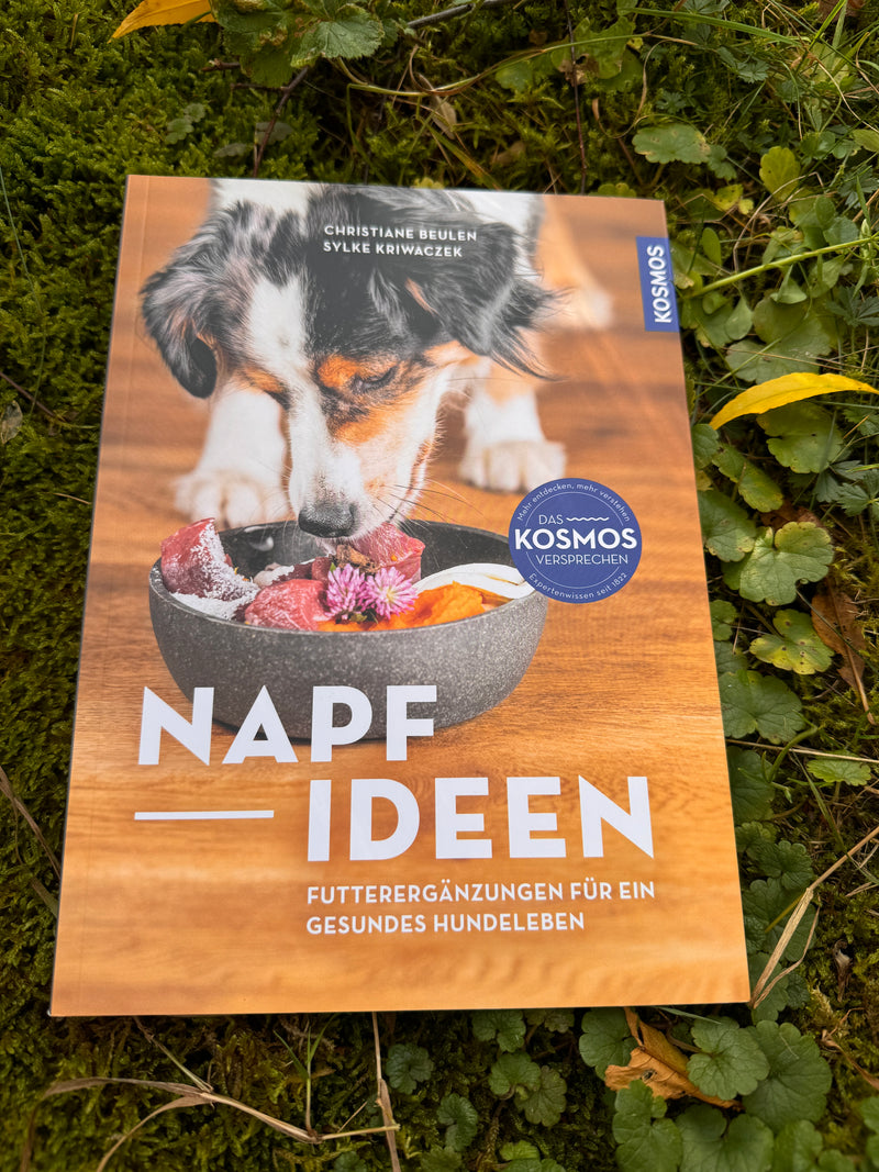 Napfideen