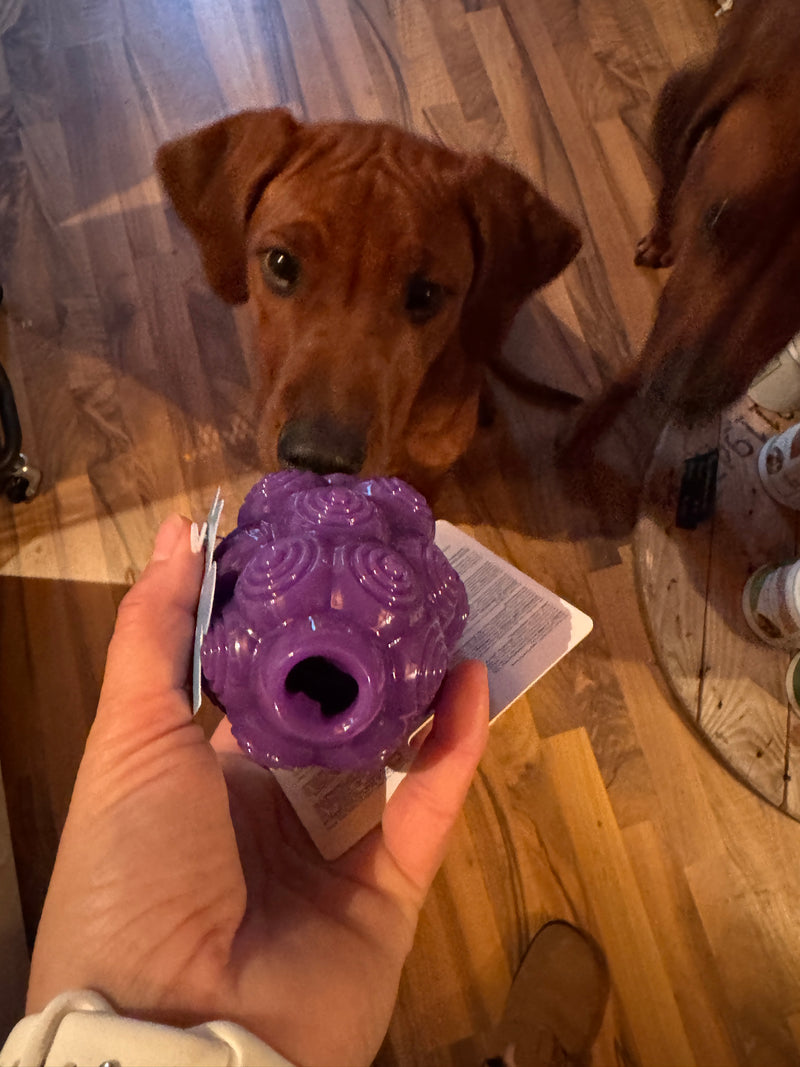 Planet Dogg Dental Grapes