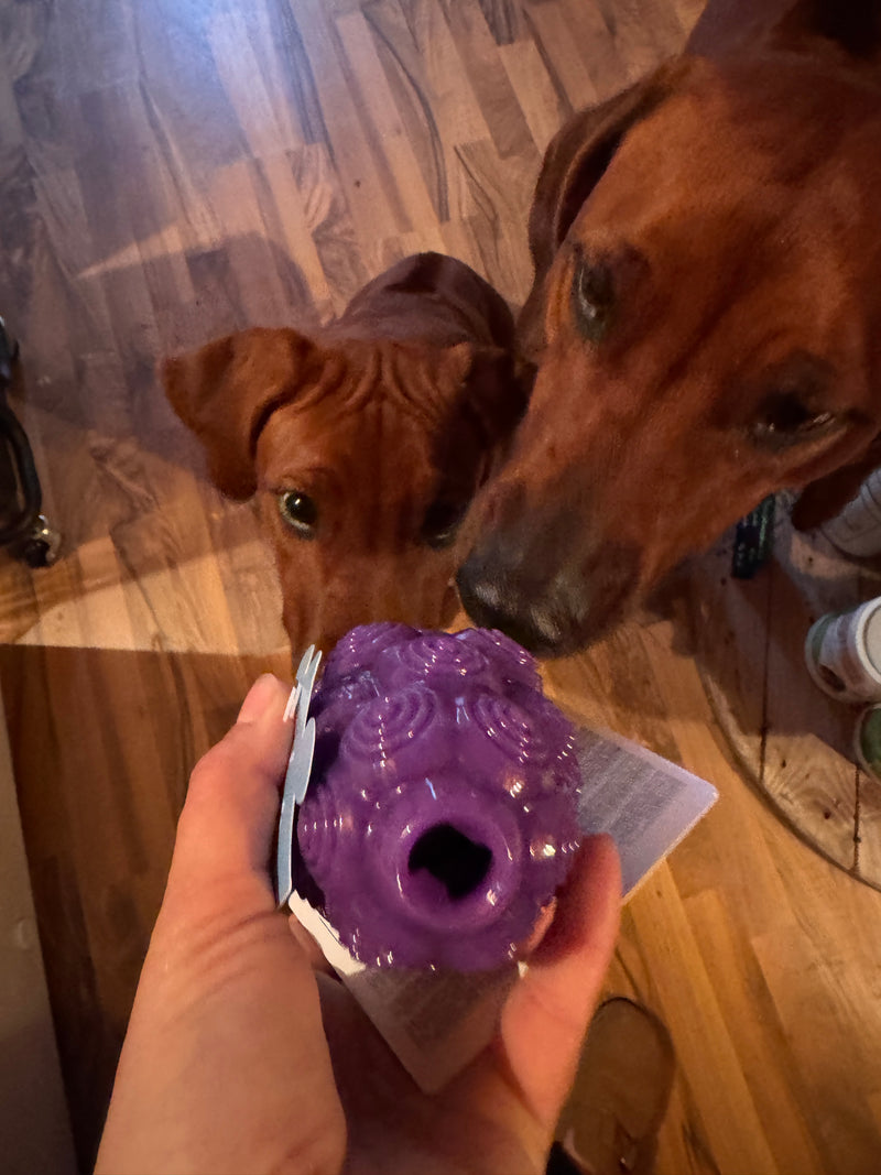 Planet Dogg Dental Grapes