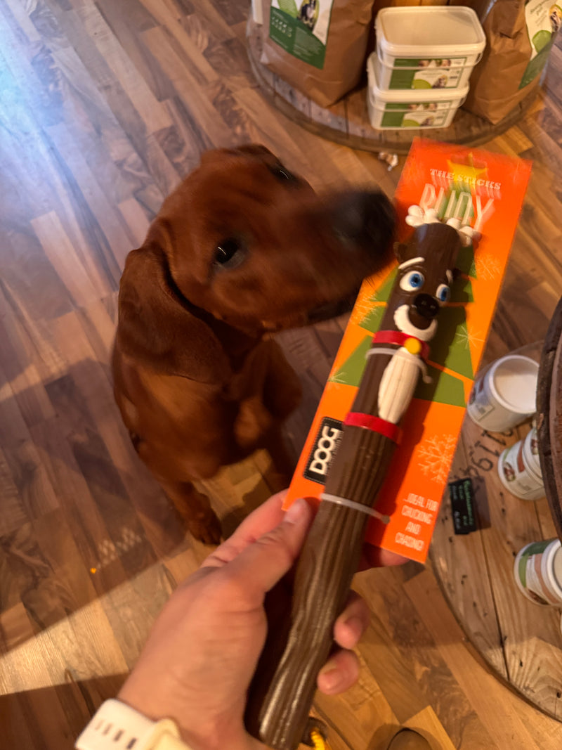 Doog Xmas Stick