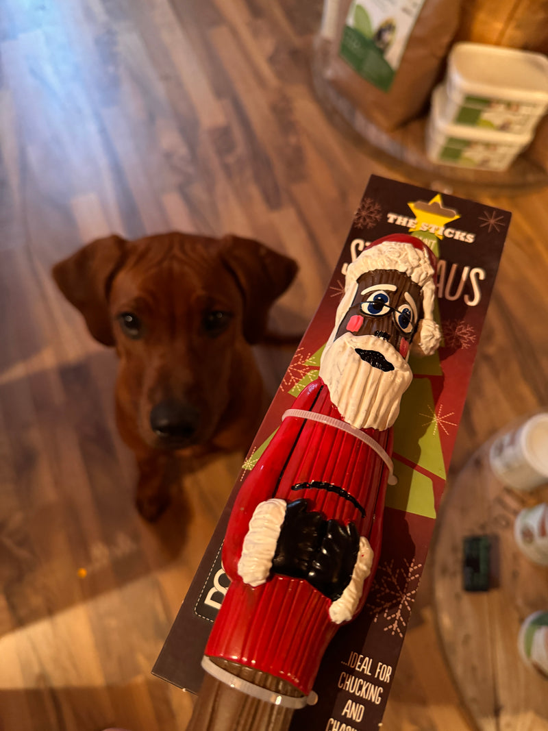 Doog Xmas Stick