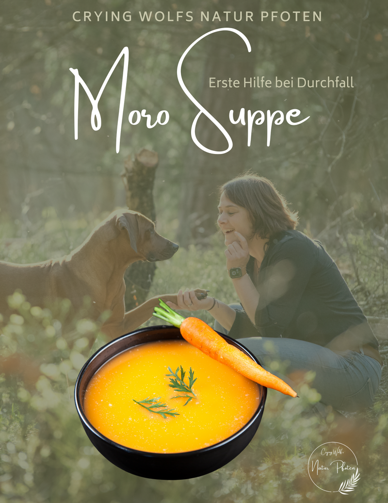Schnauzen Schlauheit - Rezept Moro Suppe