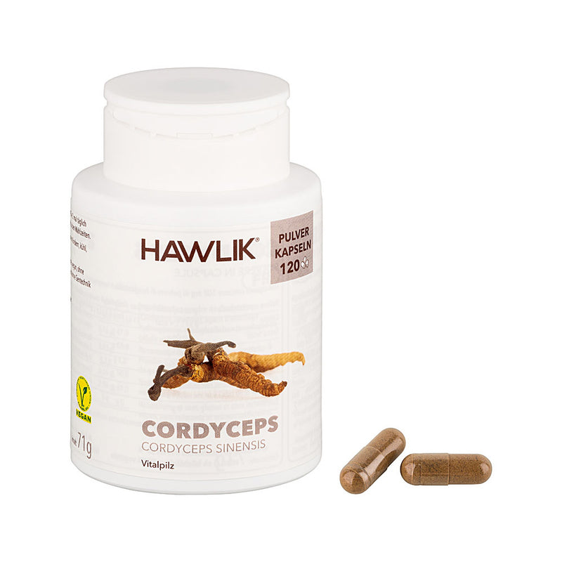 Cordyceps sinensis Pulver Kapseln 120 Kapseln