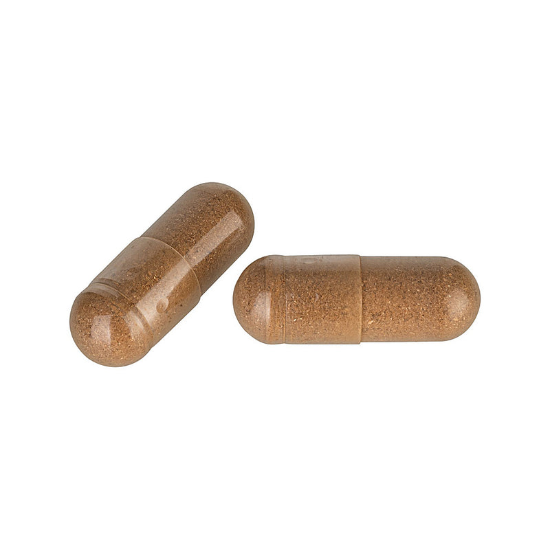 Reishi Pulver Kapseln