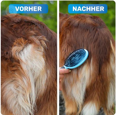 DoppelDecker - Doppelbürste für Hunde und Katzen