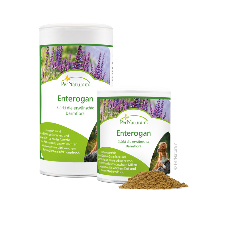 Enterogan-Dog