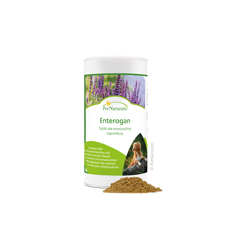Enterogan-Dog