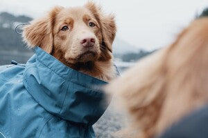 Hurtta Regenmantel Monsoon Coat + Coat Eco II