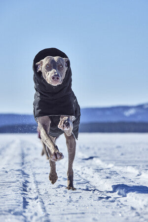 Hurtta Extrem Warmer III Eco mit Ohrenschutz