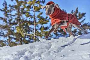 Hurtta Extrem Warmer III Eco mit Ohrenschutz