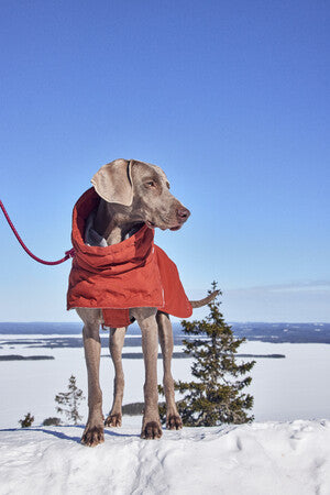 Hurtta Extrem Warmer III Eco mit Ohrenschutz