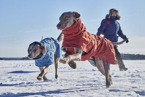 Hurtta Extrem Warmer III Eco mit Ohrenschutz