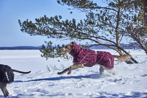 Hurtta Extrem Warmer III Eco mit Ohrenschutz