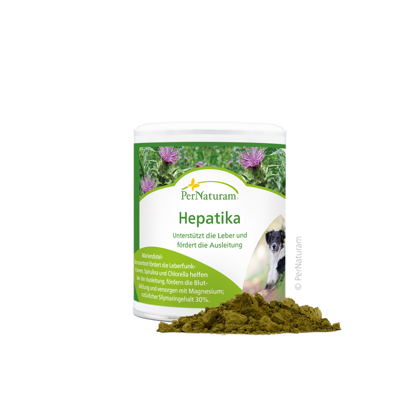 Hepatika