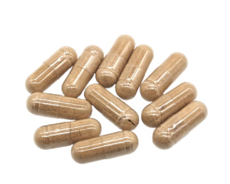 Hericium Extrakt Kapseln