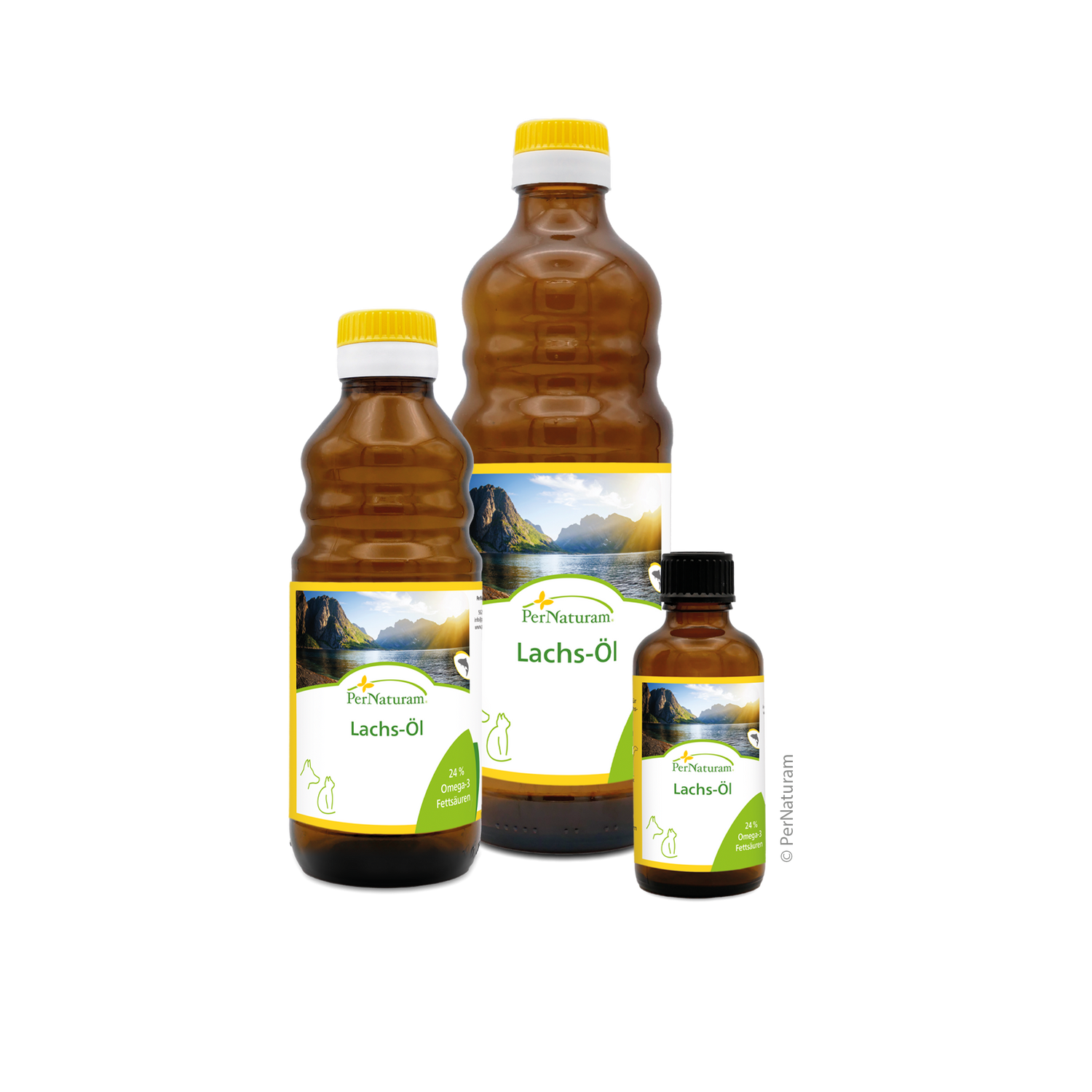 Lachs Öl