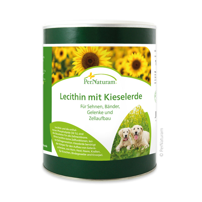 Lecithin und Kieselerde