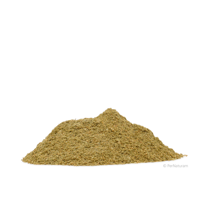 Perna Adult