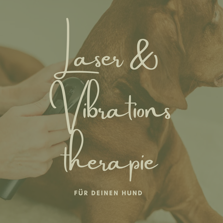 Laser & Schallwellentherapie
