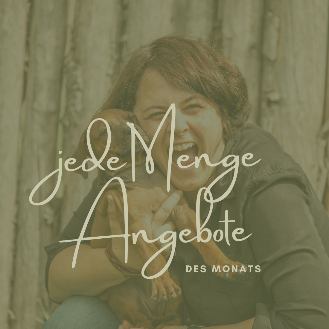 Angebote im Juni