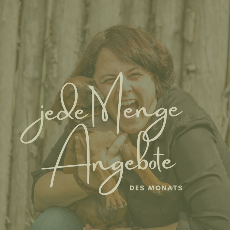 Angebote im Juni
