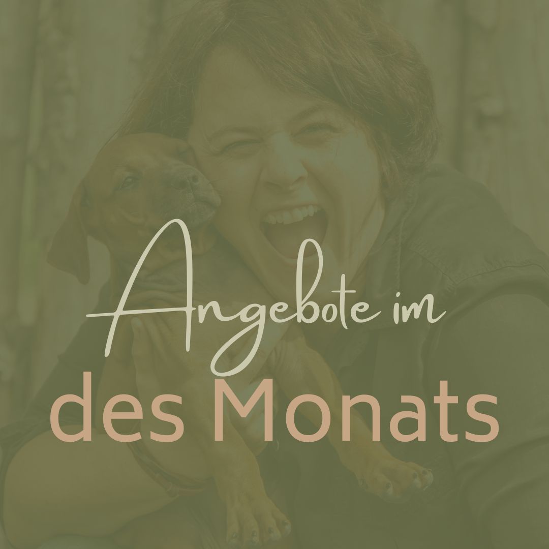Angebote im Oktober