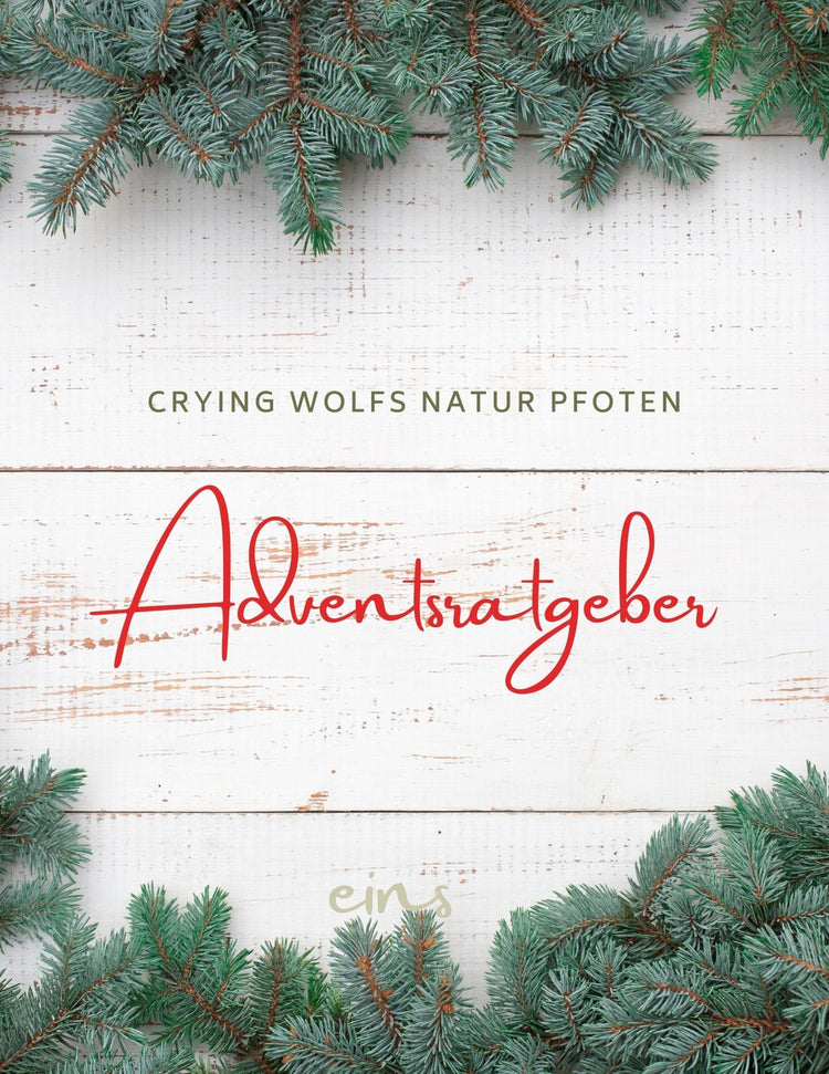 Adventsratgeber