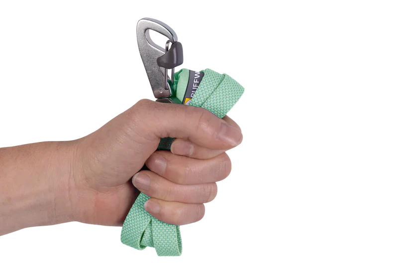 Hundehalsbänder & Leinen