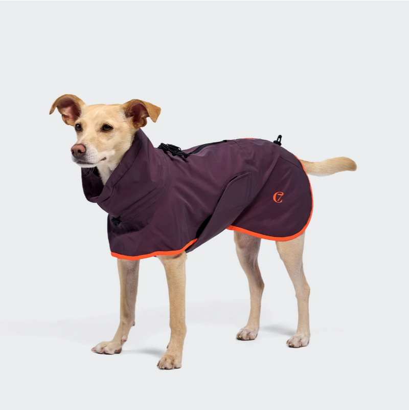Cloud7 Hunde Regenmantel AKTIV