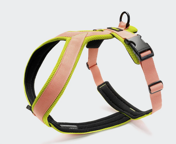 Cloud7 Y1 Geschirr AKTIV Air-Mesh Peach