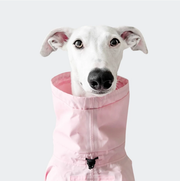 Cloud7 Hunde Regenmantel AKTIV