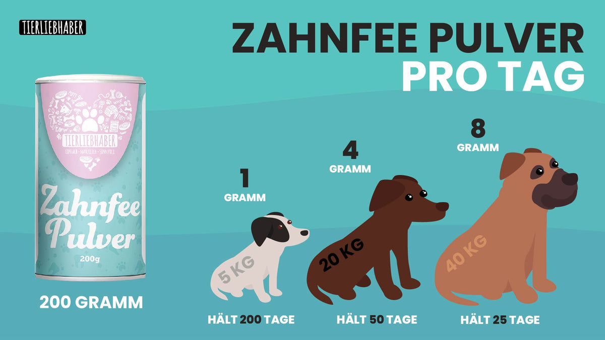 Zahnfee Pulver