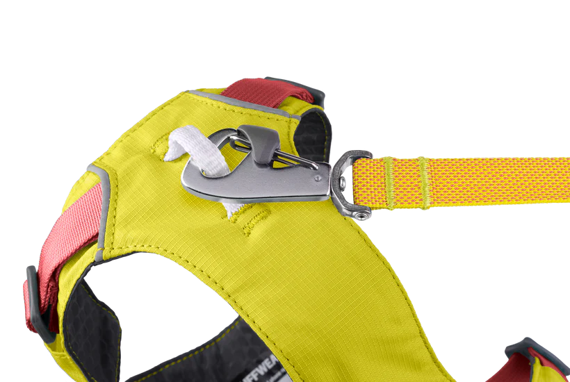 Flagline Harness - HUndegeschirr mit Griff