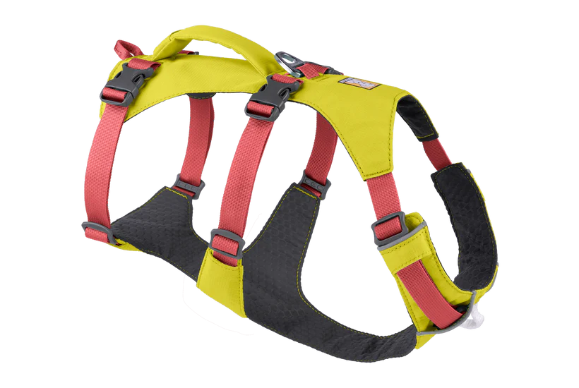 Flagline Harness - HUndegeschirr mit Griff