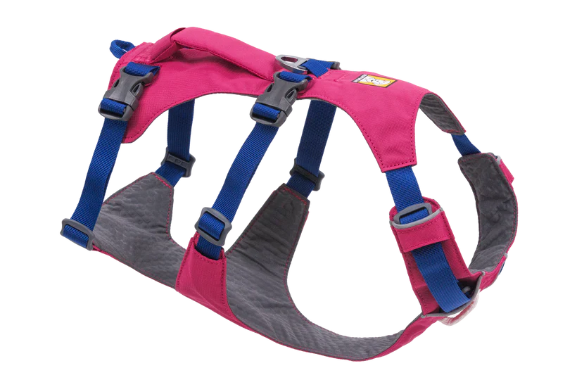 Flagline Harness - HUndegeschirr mit Griff