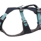 Flagline Harness - HUndegeschirr mit Griff